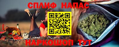 шишки Будённовск